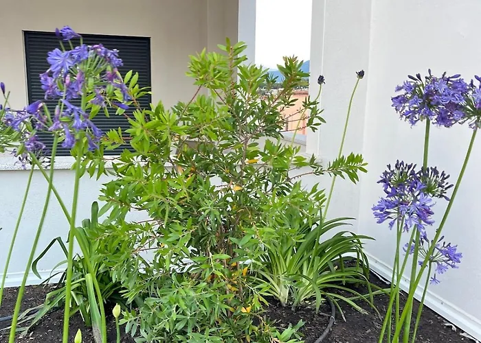 Appartement Rare T2 New, Waterfront Porticcio (Corsica)